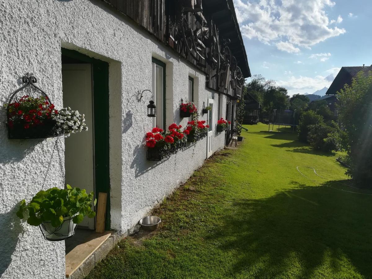 Haus Elisabeth Bed & Breakfast Aigen im Ennstal Ngoại thất bức ảnh